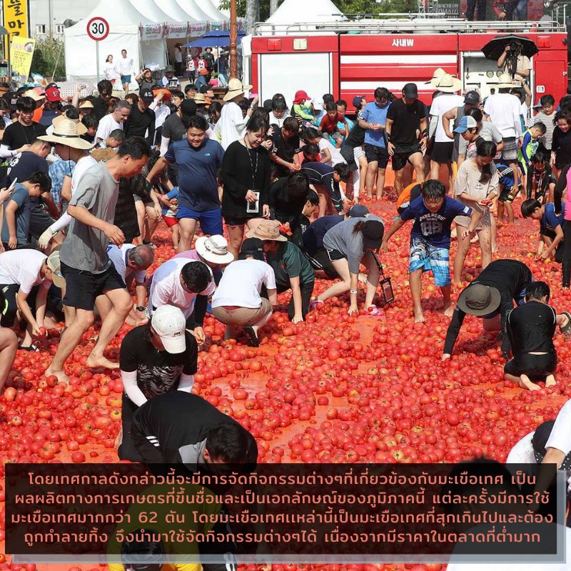 Hwacheon Tomato Festival