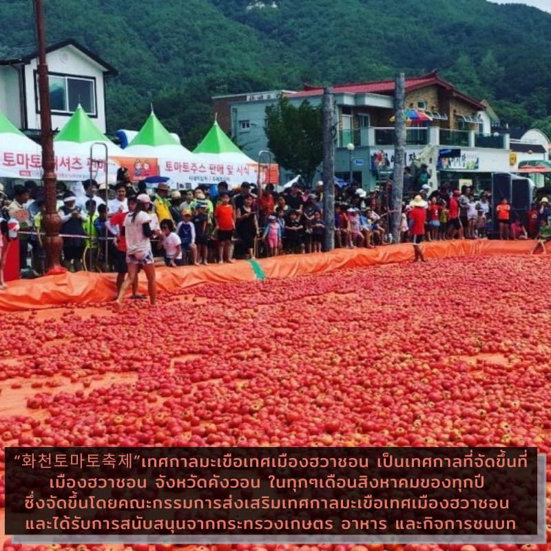 Hwacheon Tomato Festival