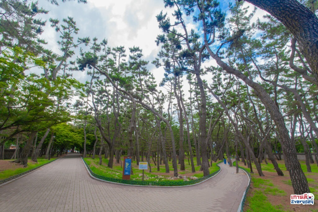 Daereungwon Tomb Complex