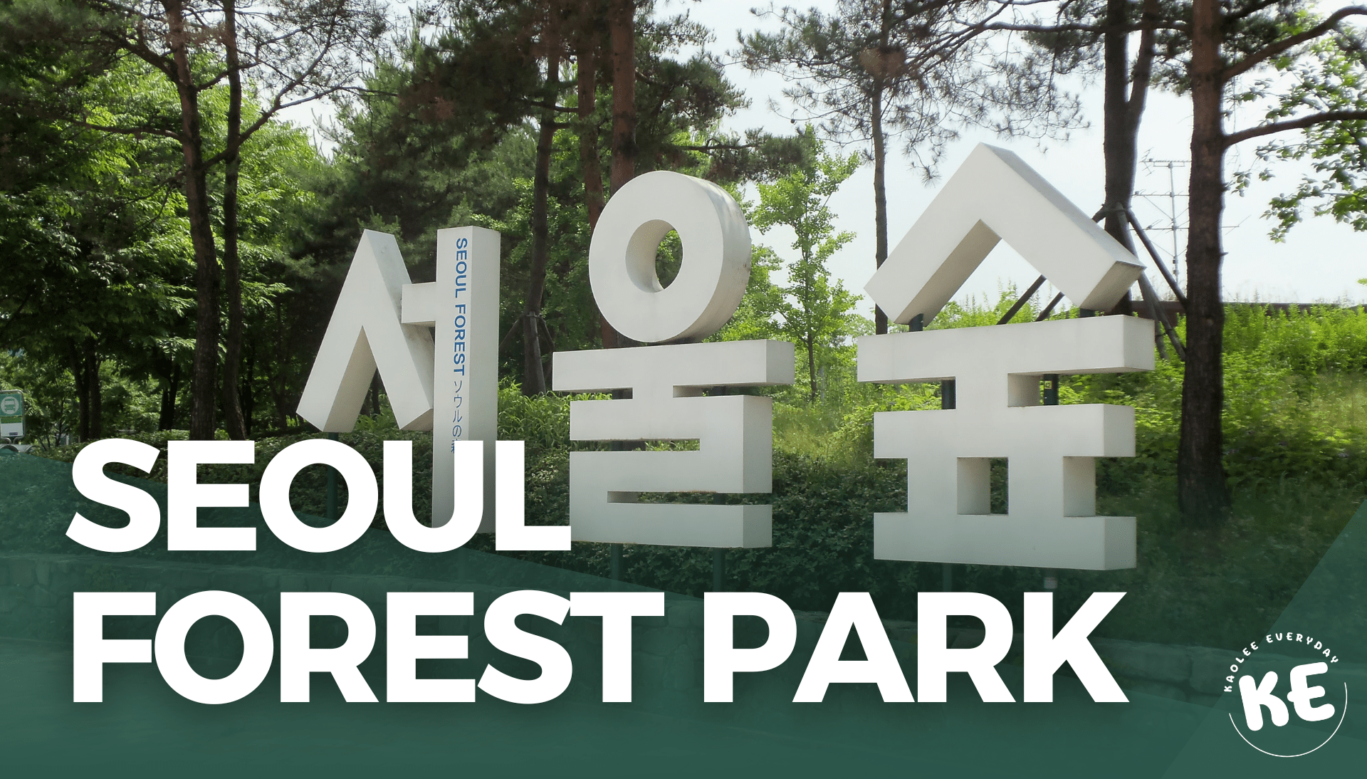 โซล ฟอเรสต์ Seoul Forest ป่าใหญ่ใจกลางโซล