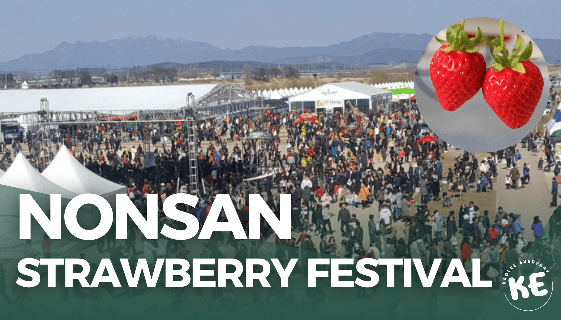 Nonsan Strawberry Festival เทศกาลสตรอว์เบอร์รีสุดยิ่งใหญ่